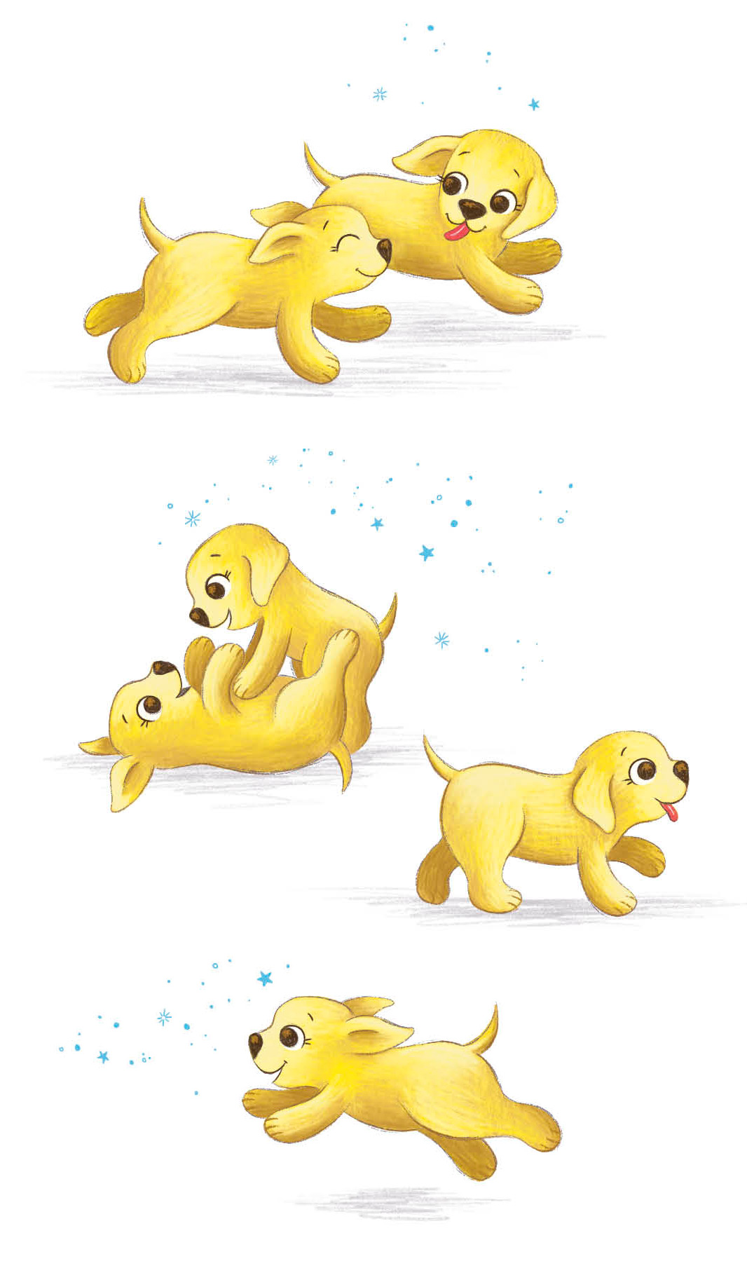 Puppies from Book